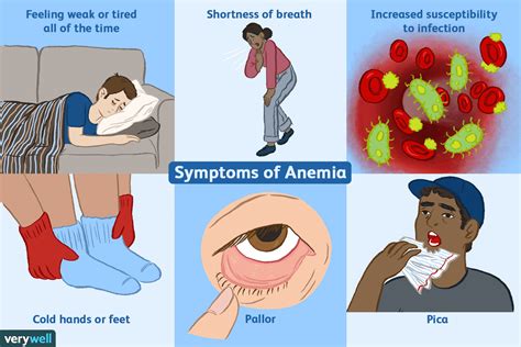 Overcome Fatigue and Weakness: A Guide to Understanding Anemia